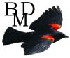 BlackbirdMFG's Avatar