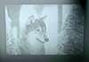 1498Wolf1_Lithophane_small.jpg