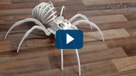 CNC Tutorial 3D Puzzle Spider